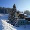 Duplex Apartment Right At The Ski Lift Tracks - Valmorel