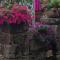 Le Petit Chateau photo 17