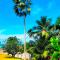 The Reef Palm