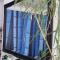Bamboo Guesthouse