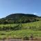Balaton Rustic Guesthouse