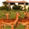 Ol Pejeta Holiday Villas - Nanyuki