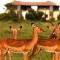 Ol Pejeta Holiday Villas