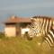 Ol Pejeta Holiday Villas
