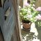 Le Logis d'Hortense - Vic-le-Comte