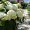 Le Logis d'Hortense - Vic-le-Comte
