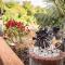 Finca Pozo Taburiente