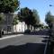 Sunny Green Terrace