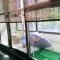 Sailin 137 Hostel