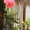 Tierra Mia Boutique Hotel