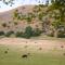 The Izaak Walton Country House Hotel - Dovedale