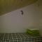 Hostel31