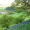 Bluebells Cottage - Chop Gate