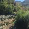 River Idyll