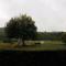 Ardennes