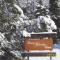 Right Choice Home Valemount