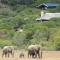 HillsNek Safari Camp – Amakhala Game Reserve