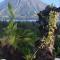 Mayon Lodging House - Legazpi