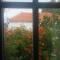 Window To The Aegean - Velanídhia