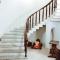 Guest House Niako