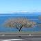 Baycourt Lakefront Motel - Таупо
