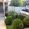 Apartments Popovic