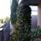 Apartments Popovic