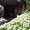 Suite Indiana Ilhabela