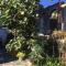 Konaku Guest house