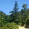 Saint Nicholas heights
