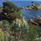 Ecrin de verdure sur Le Lavandou - Classement Tourisme 3 Etoiles