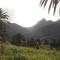El Pirguan Holiday House, your oasis in La Gomera - Vallehermoso