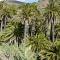 El Pirguan Holiday House, your oasis in La Gomera