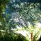 Andelomi Natures Rest