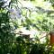 Andelomi Natures Rest