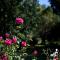 Andelomi Nature's Rest - Stormsrivier