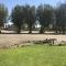 Shoshone RV Park - Shoshone