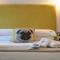 Blue Bottle Boutique Hotel