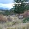 Longs Peak Cabin
