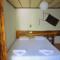 Amazon Antique