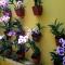 Vivaresidence Homestay - 阿勒皮