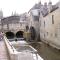 Le Chat Qui Veille - Bayeux