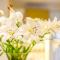 Hotel Court Wellness&Spa