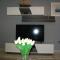 Apartment Amfora on the ground floor