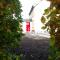 James Tymon Self-Catering Cottage