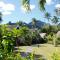 Palm Grove - Rarotonga