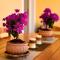 Da Sofia