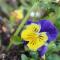Coral Tree SelfCatering - St Francis Bay