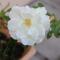 Coral Tree SelfCatering - St Francis Bay