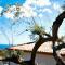 Country House “ Il Mandorlo”